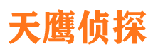 洛龙市私家侦探